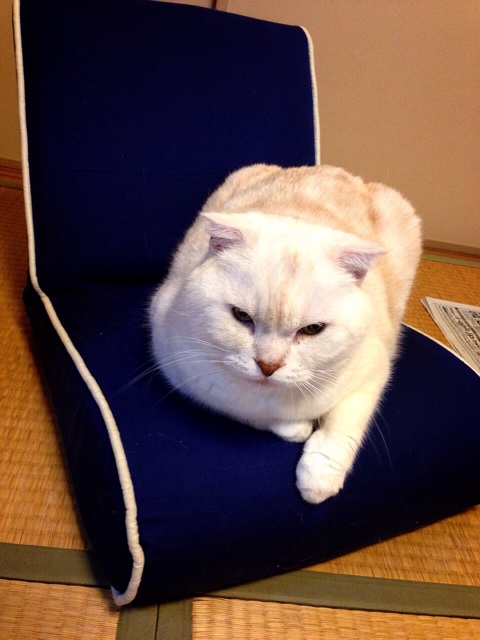 f:id:yumi458:20140331200511j:plain