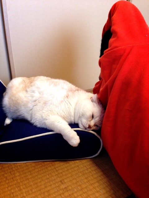 f:id:yumi458:20140331200723j:plain