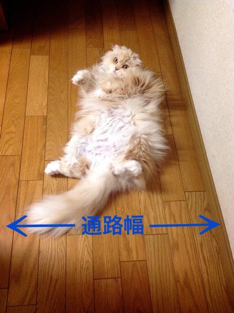 f:id:yumi458:20140424180354j:plain f:id:yumi458:20140424180354j:plain
