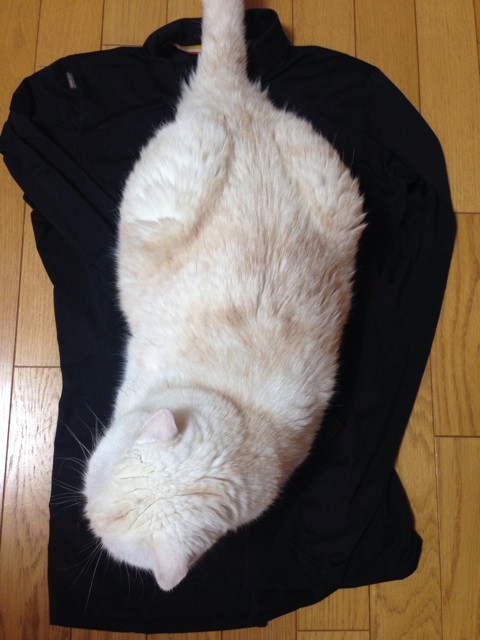 f:id:yumi458:20140729055416j:plain f:id:yumi458:20140729055416j:plain