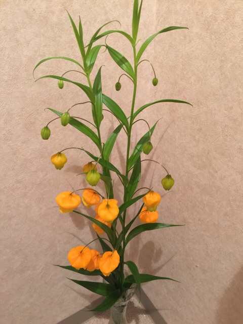 f:id:yumi458:20150303221330j:plain f:id:yumi458:20150303221330j:plain