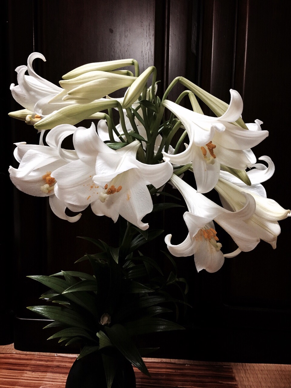 f:id:yumi458:20150521223647j:image f:id:yumi458:20150521223647j:image