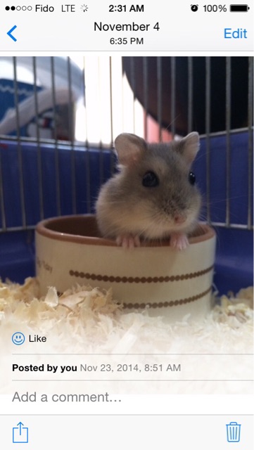 f:id:yumiko531:20150117232455j:plain f:id:yumiko531:20150117232455j:plain