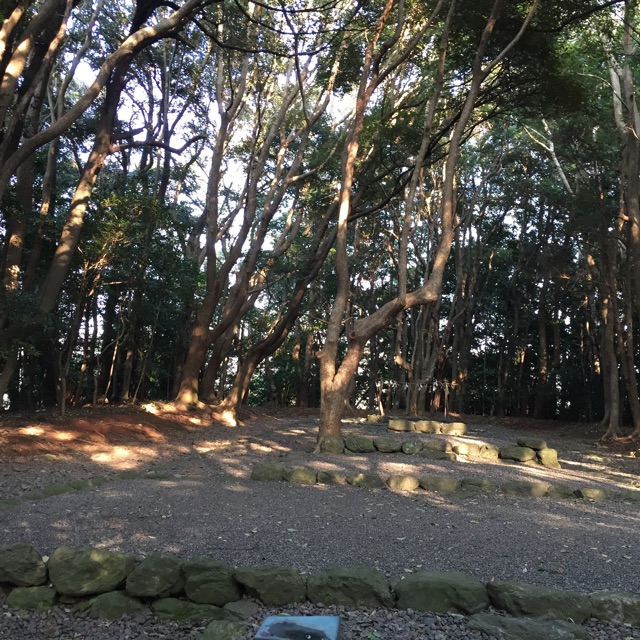 f:id:yumiko531:20150120230552j:plain f:id:yumiko531:20150120230552j:plain