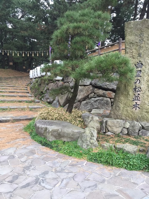 f:id:yumiko531:20150122104653j:plain f:id:yumiko531:20150122104653j:plain