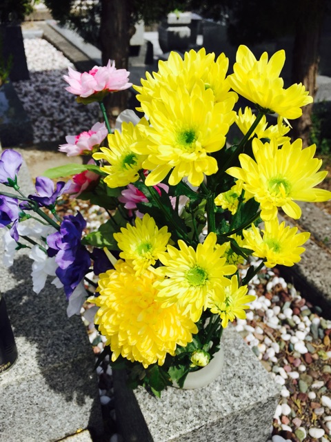 f:id:yumiko531:20150327141221j:plain f:id:yumiko531:20150327141221j:plain