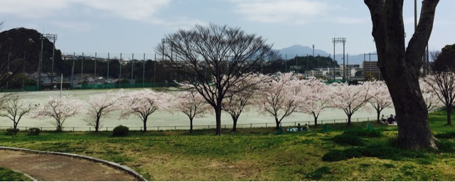 f:id:yumiko531:20150402174116j:plain f:id:yumiko531:20150402174116j:plain