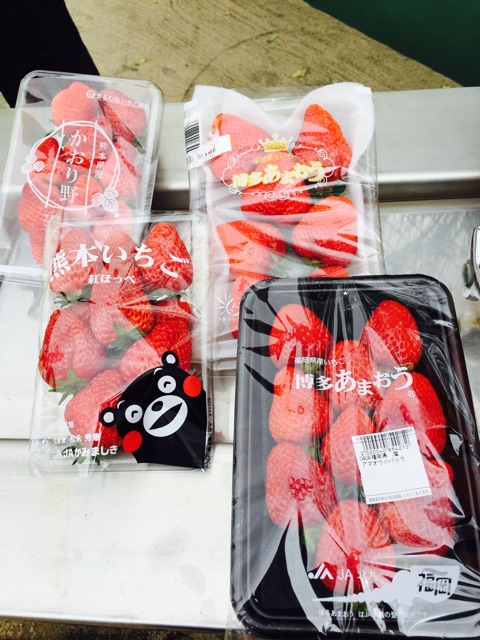f:id:yumiko531:20150402174813j:plain f:id:yumiko531:20150402174813j:plain