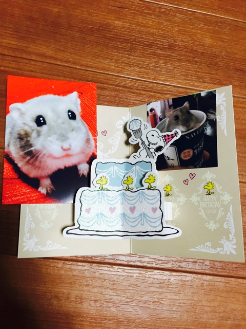 f:id:yumiko531:20150416132941j:plain f:id:yumiko531:20150416132941j:plain