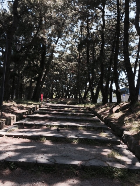 f:id:yumiko531:20150426213955j:image f:id:yumiko531:20150426213955j:image