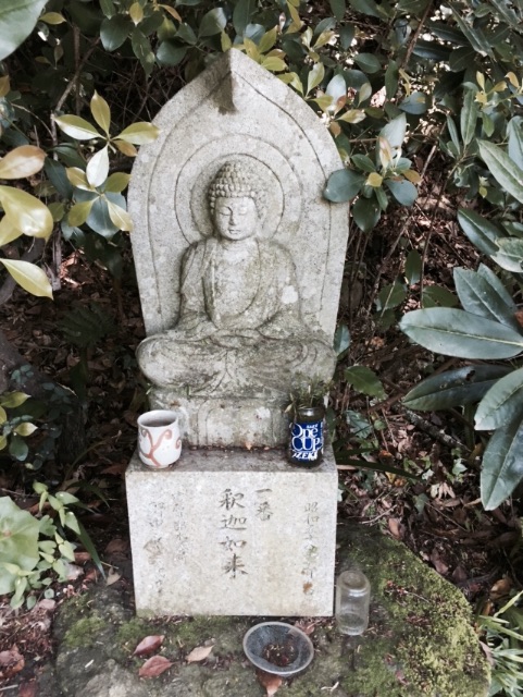 f:id:yumiko531:20150508191227j:image f:id:yumiko531:20150508191227j:image