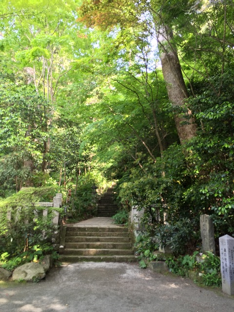 f:id:yumiko531:20150508192154j:image f:id:yumiko531:20150508192154j:image
