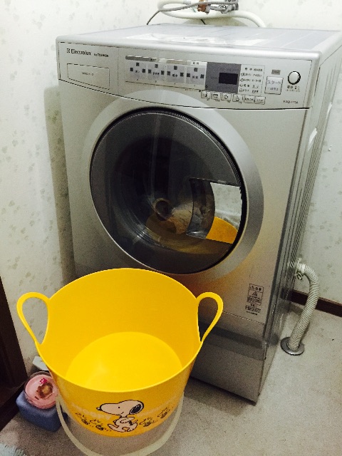 f:id:yumiko531:20150613173342j:image f:id:yumiko531:20150613173342j:image