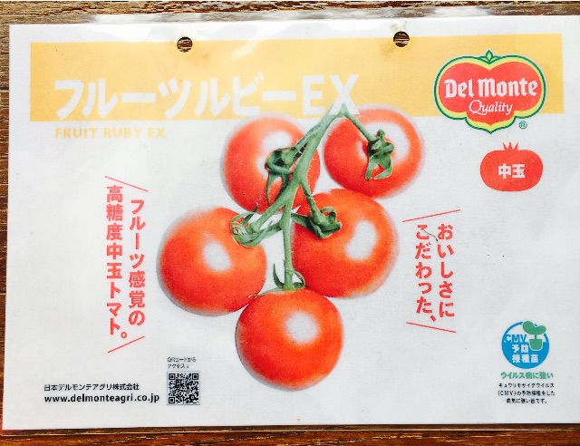 f:id:yumiko531:20150617155200j:image f:id:yumiko531:20150617155200j:image