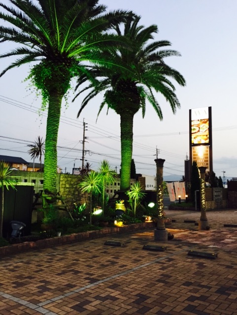 f:id:yumiko531:20150621203715j:image f:id:yumiko531:20150621203715j:image