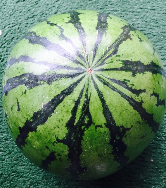 f:id:yumiko531:20150623170205j:image f:id:yumiko531:20150623170205j:image