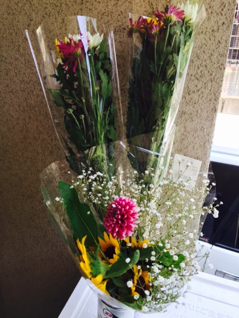 f:id:yumiko531:20150804153855j:image f:id:yumiko531:20150804153855j:image