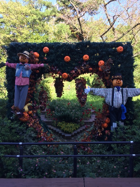f:id:yumiko531:20151004151442j:image f:id:yumiko531:20151004151442j:image