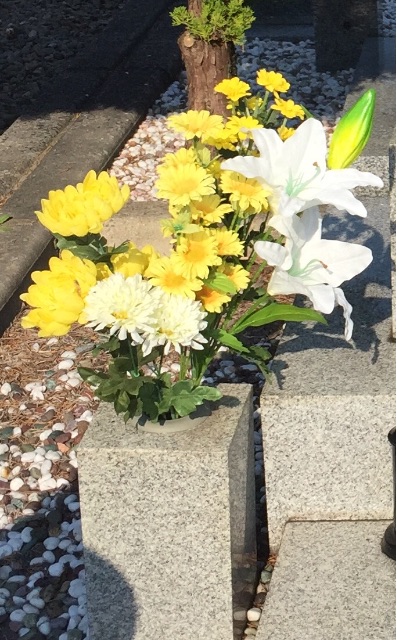f:id:yumiko531:20151016214534j:image f:id:yumiko531:20151016214534j:image