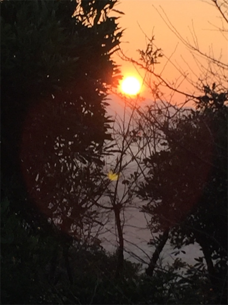 f:id:yumiko531:20160101104945j:image f:id:yumiko531:20160101104945j:image