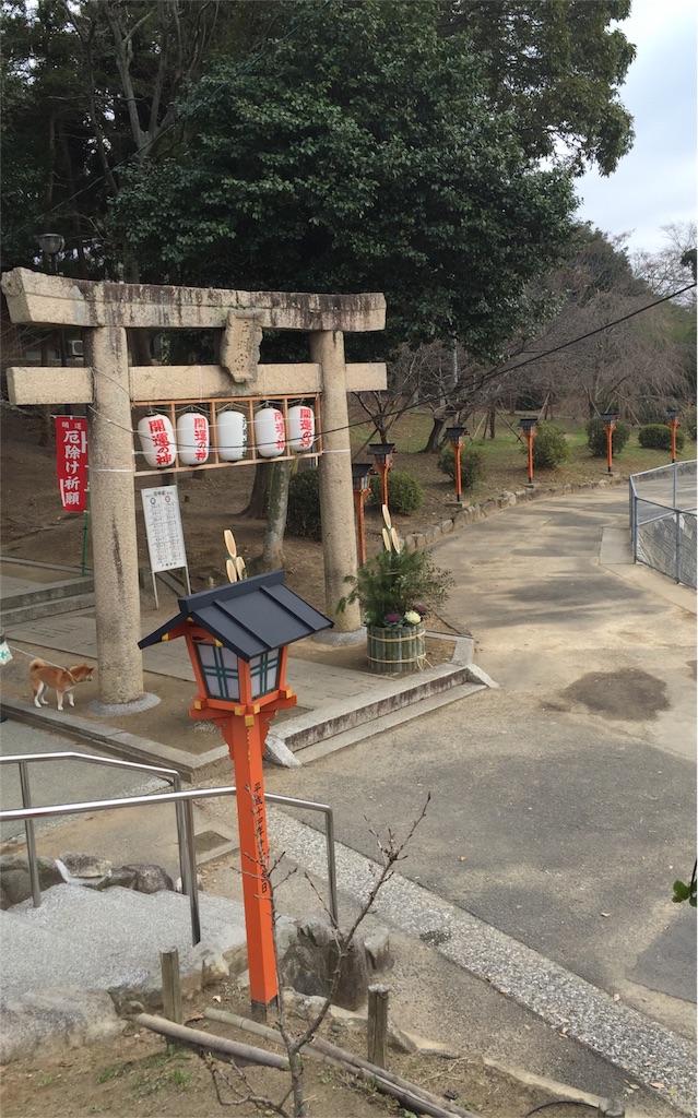 f:id:yumiko531:20160102174551j:image f:id:yumiko531:20160102174551j:image