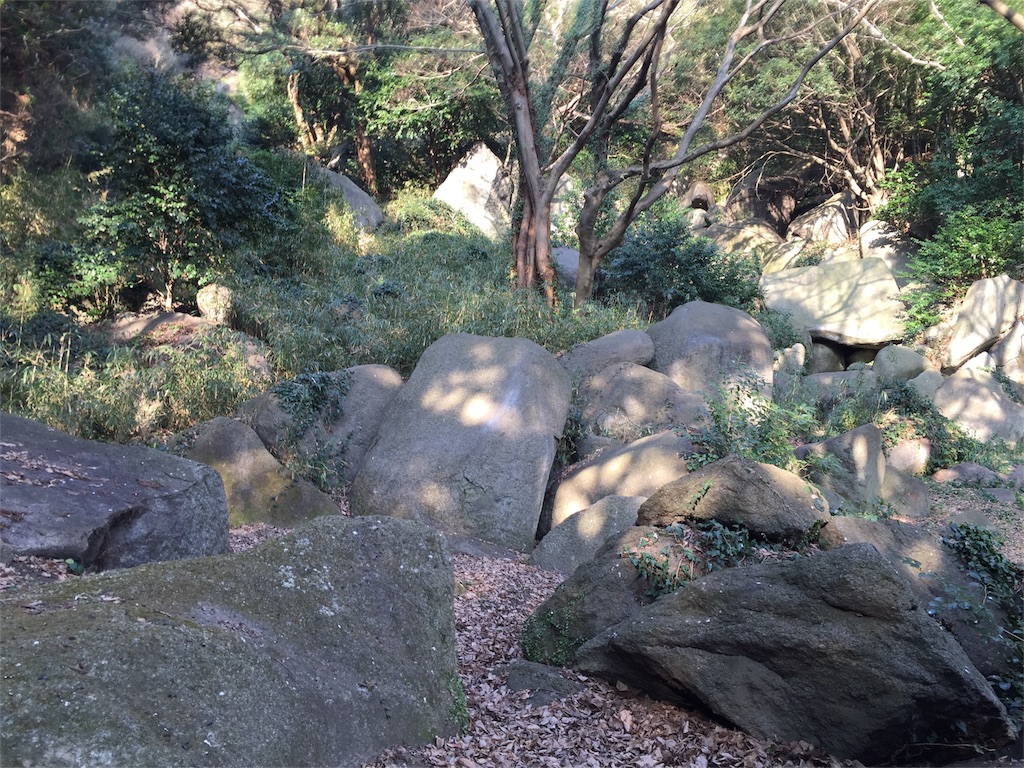 f:id:yumiko531:20160115204811j:image f:id:yumiko531:20160115204811j:image