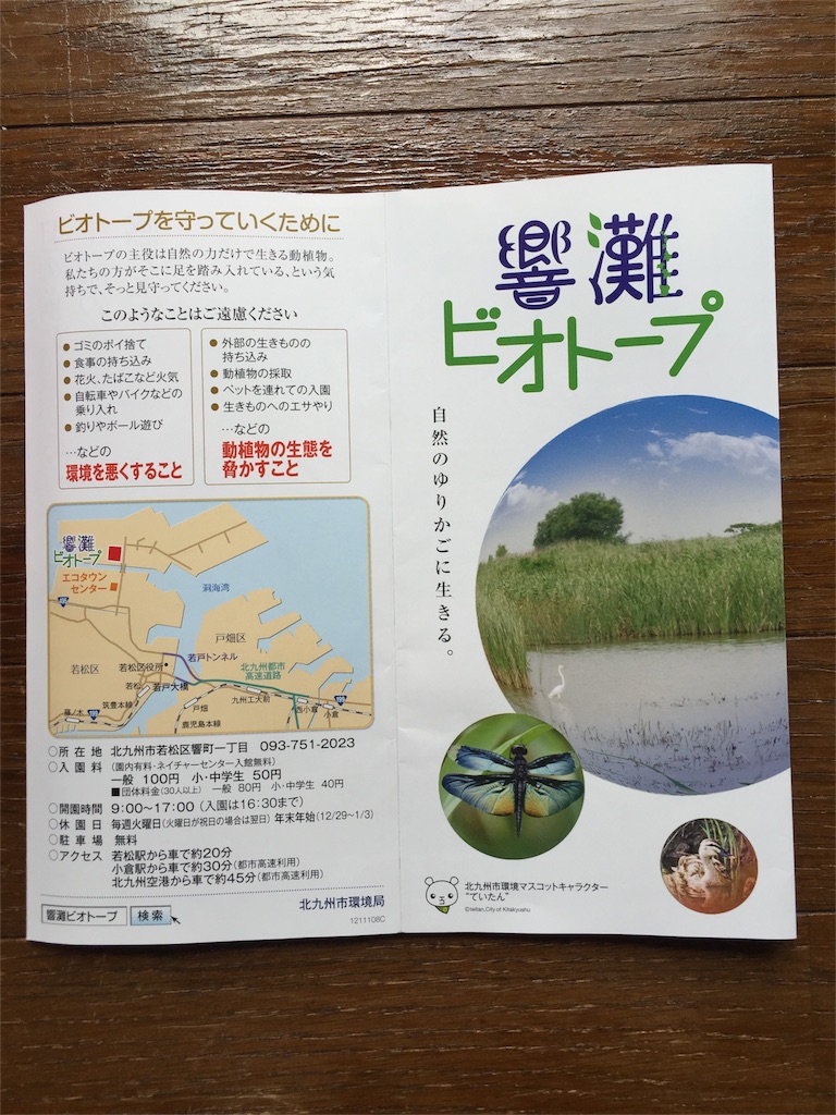 f:id:yumiko531:20160206115124j:image f:id:yumiko531:20160206115124j:image