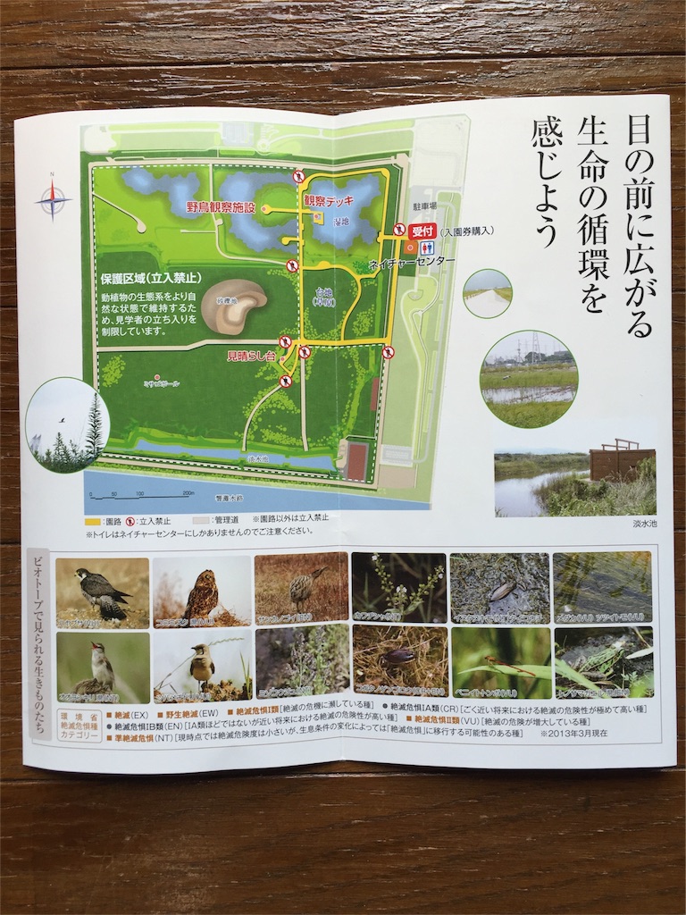 f:id:yumiko531:20160206115233j:image f:id:yumiko531:20160206115233j:image