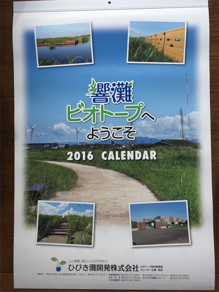 f:id:yumiko531:20160206121211j:image f:id:yumiko531:20160206121211j:image
