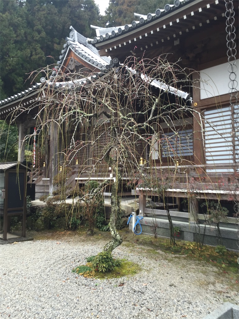 f:id:yumiko531:20160213201854j:image f:id:yumiko531:20160213201854j:image