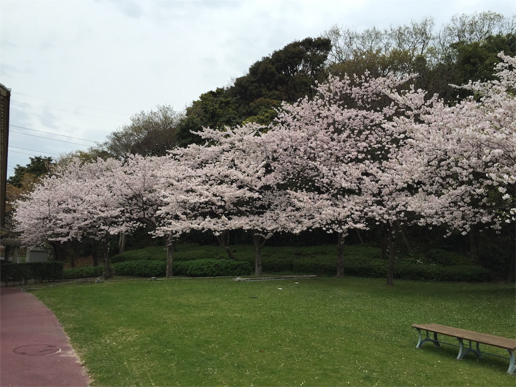 f:id:yumiko531:20160403170957j:image f:id:yumiko531:20160403170957j:image