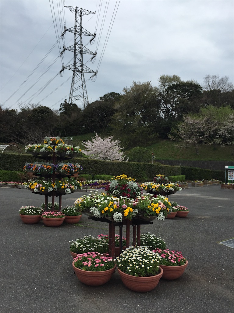 f:id:yumiko531:20160403171616j:image f:id:yumiko531:20160403171616j:image