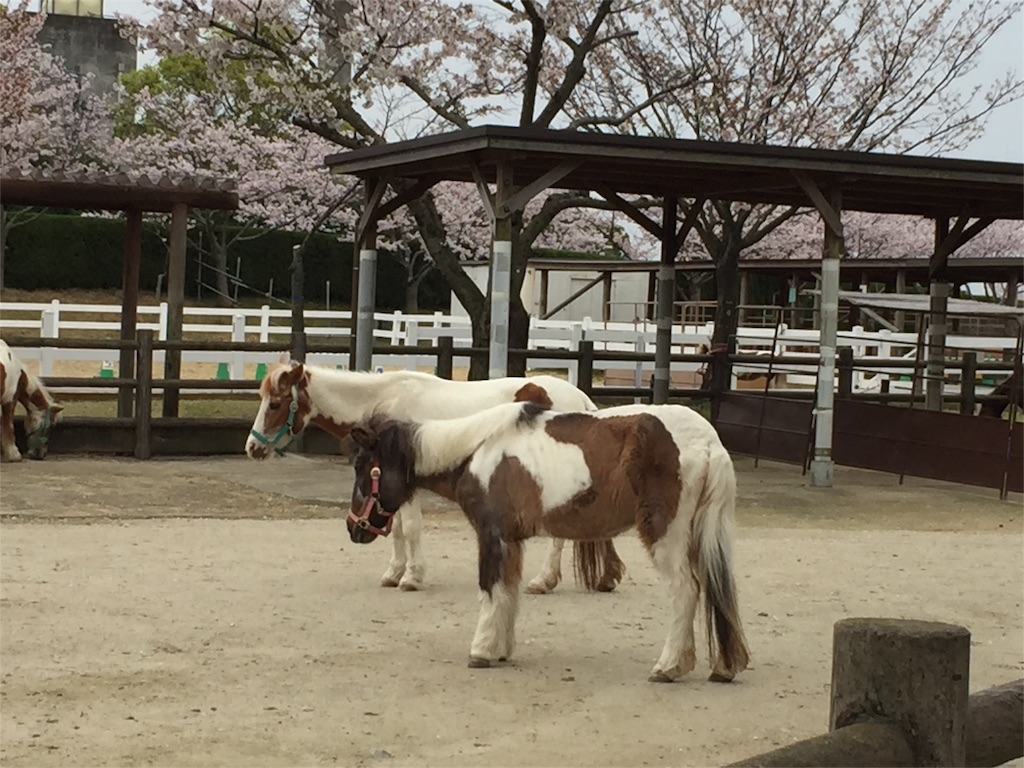 f:id:yumiko531:20160403172242j:image f:id:yumiko531:20160403172242j:image