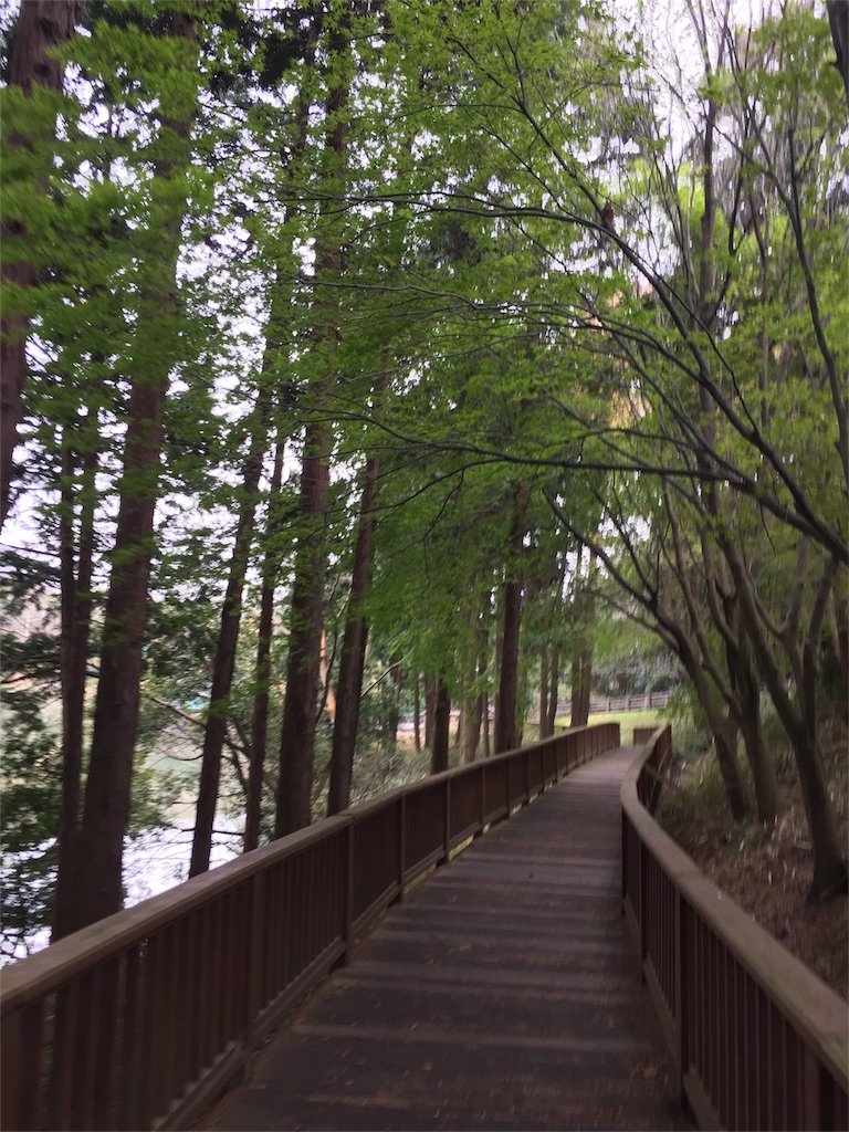 f:id:yumiko531:20160403173121j:image f:id:yumiko531:20160403173121j:image
