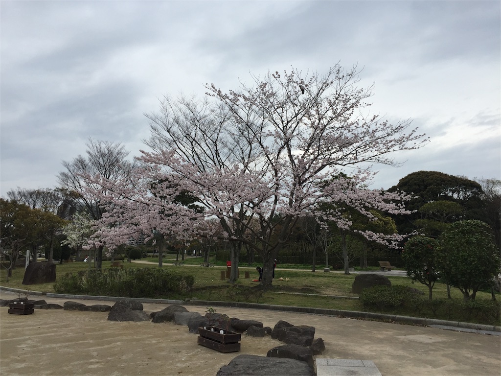 f:id:yumiko531:20160403173201j:image f:id:yumiko531:20160403173201j:image