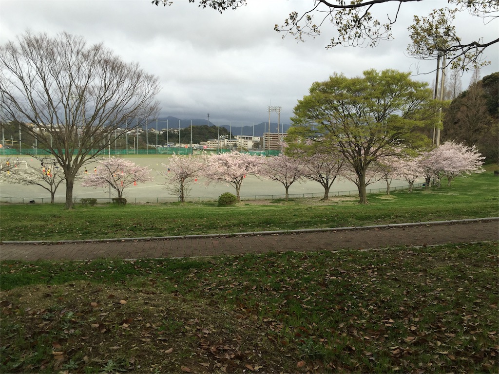 f:id:yumiko531:20160405155116j:image f:id:yumiko531:20160405155116j:image