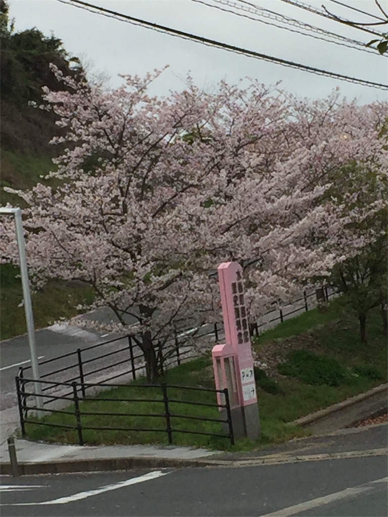 f:id:yumiko531:20160405160039j:image f:id:yumiko531:20160405160039j:image