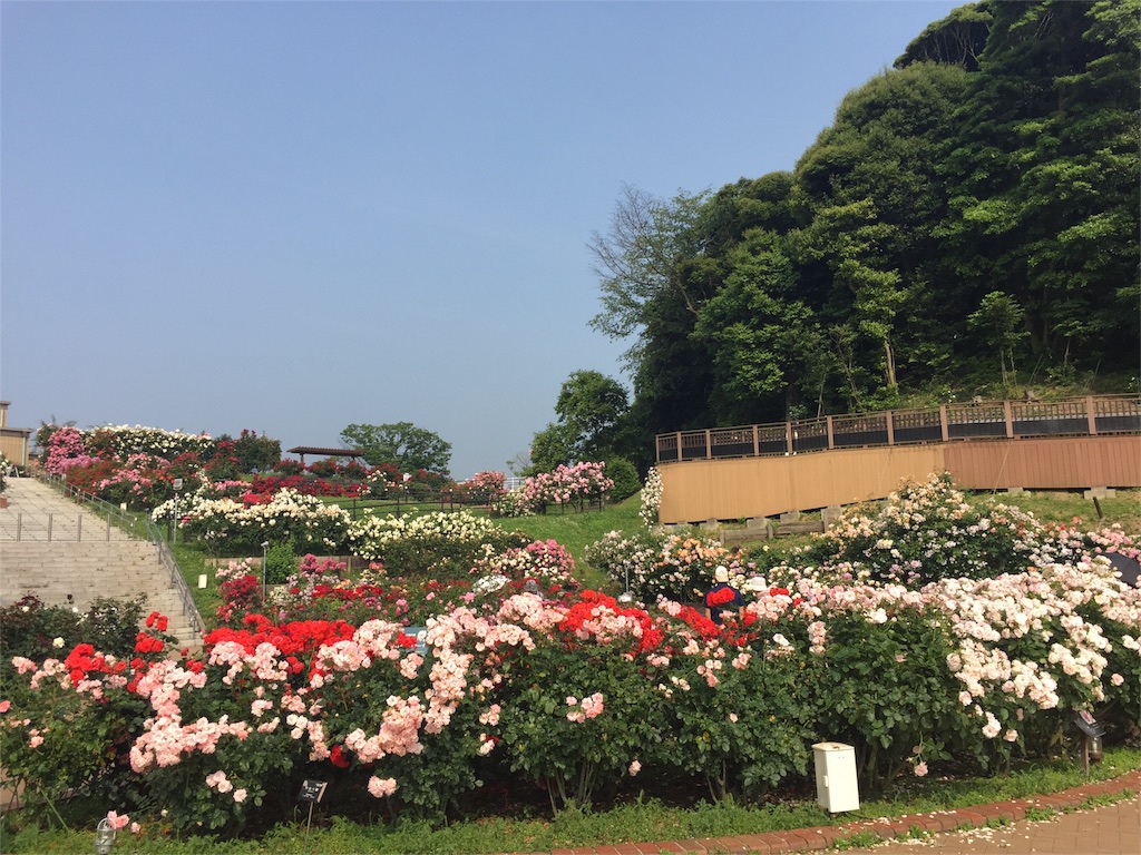 f:id:yumiko531:20160528214835j:image f:id:yumiko531:20160528214835j:image
