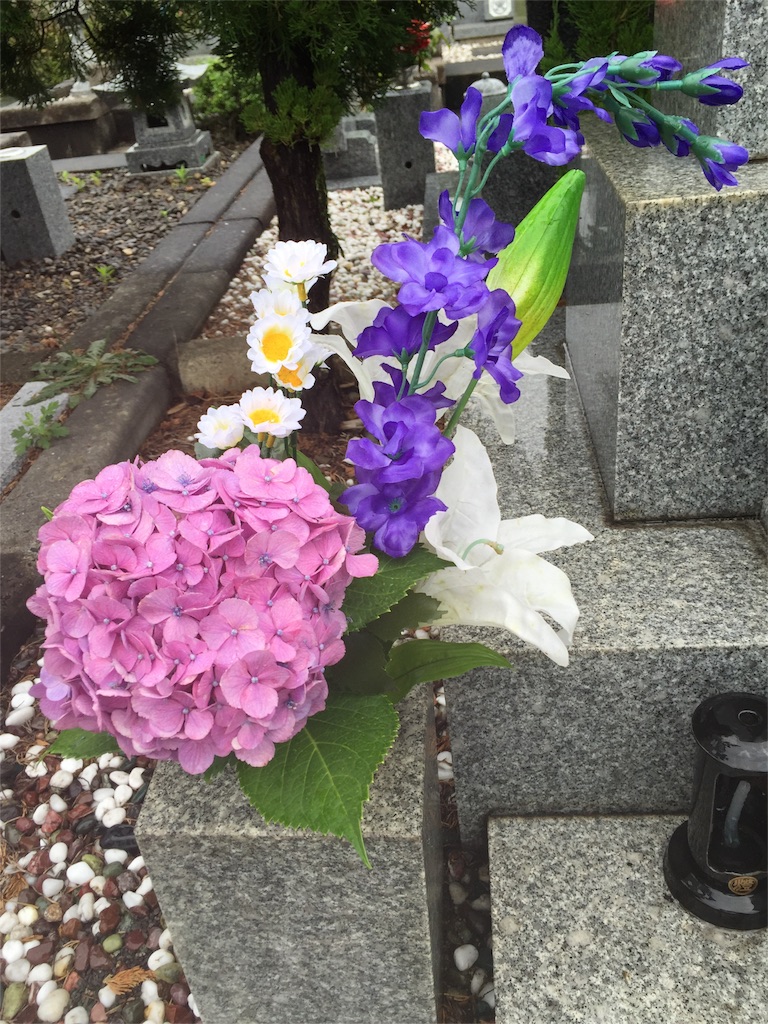 f:id:yumiko531:20160628144408j:image f:id:yumiko531:20160628144408j:image