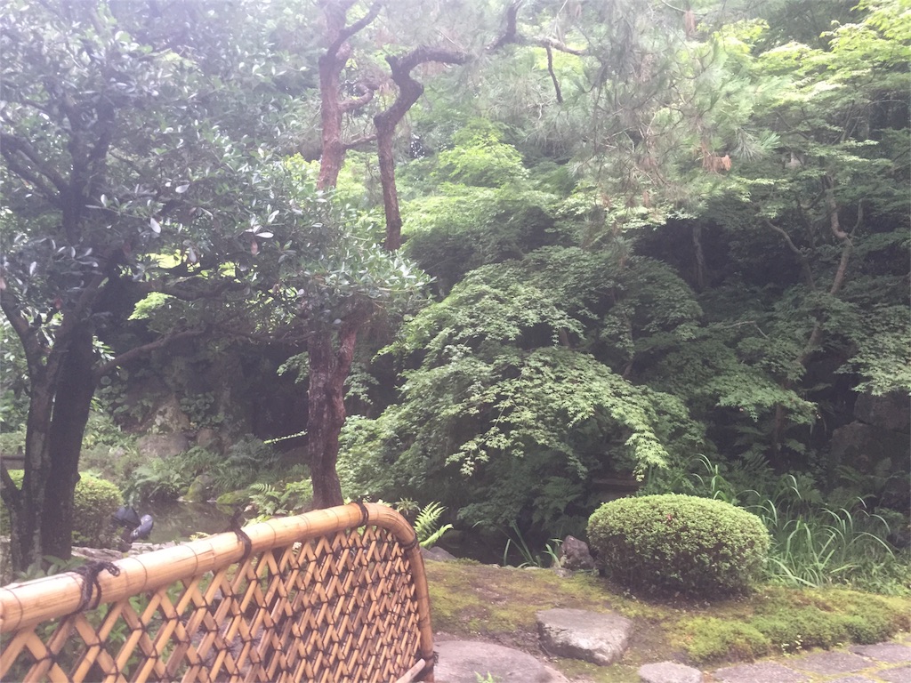 f:id:yumiko531:20160713212716j:image f:id:yumiko531:20160713212716j:image
