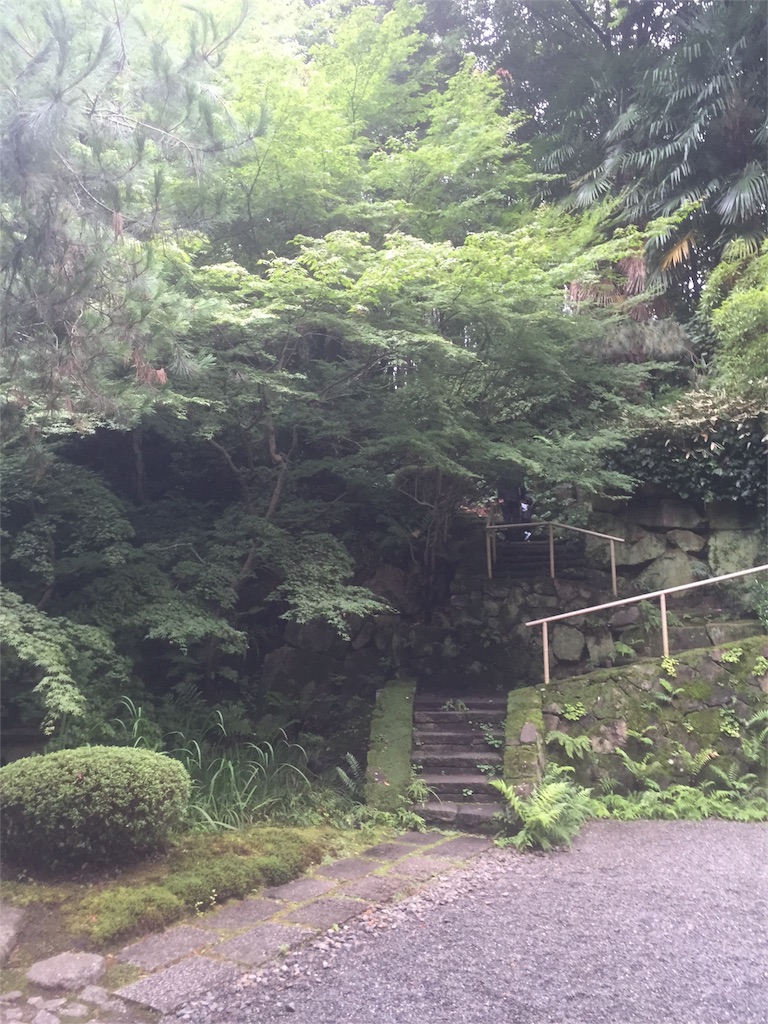 f:id:yumiko531:20160713212745j:image f:id:yumiko531:20160713212745j:image