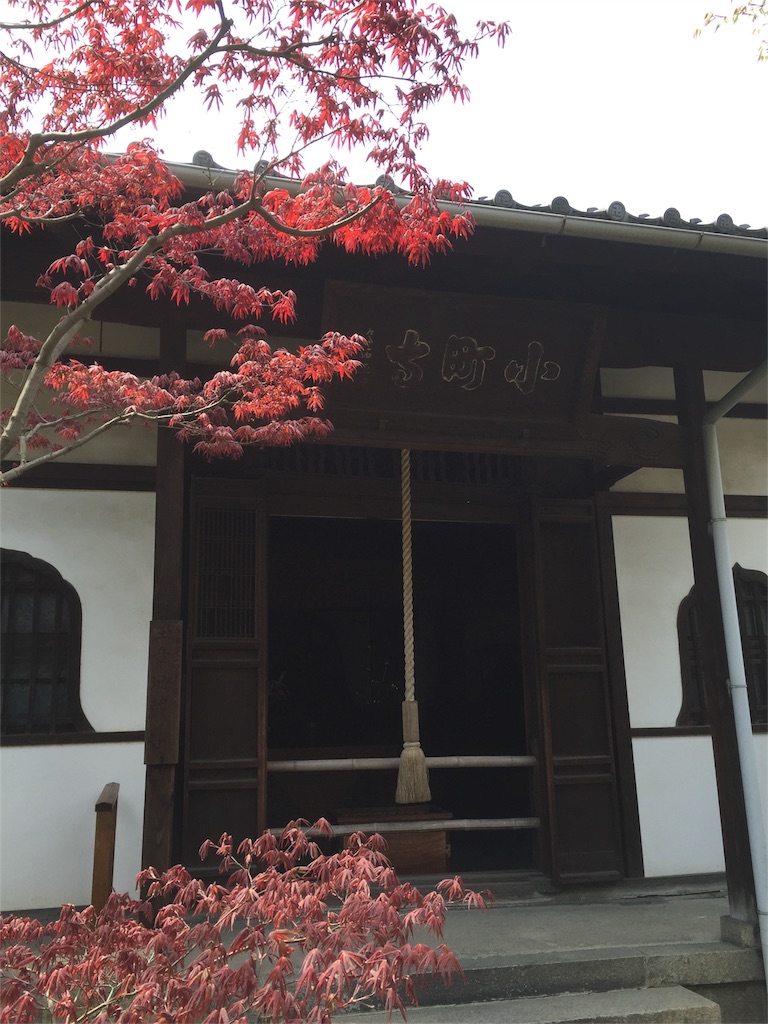 f:id:yumimi-kyoto:20160415143615j:image f:id:yumimi-kyoto:20160415143615j:image