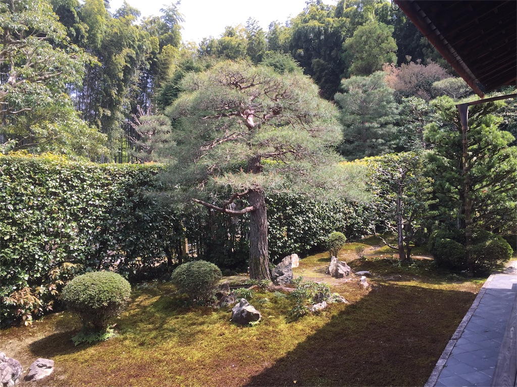 f:id:yumimi-kyoto:20160415160253j:image f:id:yumimi-kyoto:20160415160253j:image