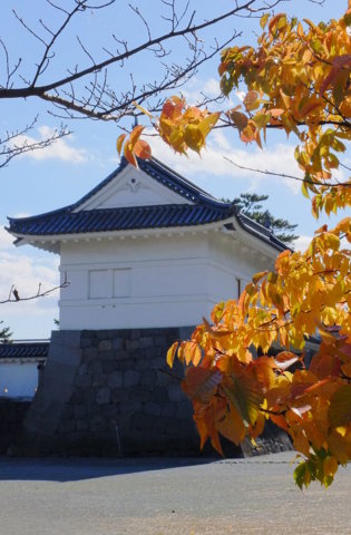 f:id:yummy21:20121127180934j:image:w300 f:id:yummy21:20121127180934j:image:w300