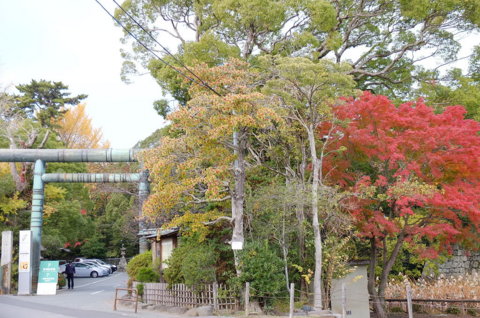 f:id:yummy21:20121129122607j:image:w400 f:id:yummy21:20121129122607j:image:w400