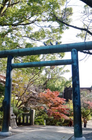 f:id:yummy21:20121129122927j:image:w198