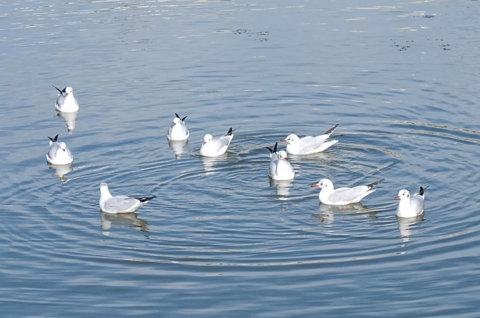 f:id:yummy21:20121129123216j:image:w400 f:id:yummy21:20121129123216j:image:w400