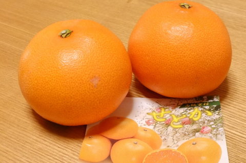 f:id:yummy21:20130216074506j:image:w450 f:id:yummy21:20130216074506j:image:w450