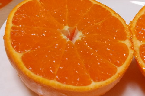 f:id:yummy21:20130216074525j:image:w450 f:id:yummy21:20130216074525j:image:w450