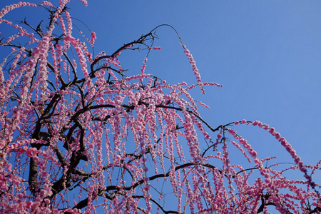 f:id:yummy21:20150418091722j:image:w223 f:id:yummy21:20150418091722j:image:w223